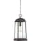 Quoizel Ravenel Outdoor Hanging Lantern RNL1908WT - alternate 4
